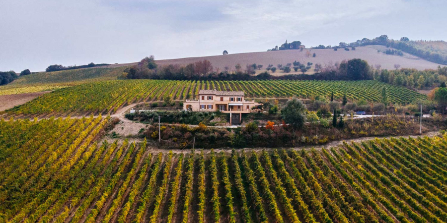 associazione-bb-del-fermano-marke-mood-food-experience-04