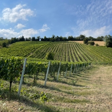 associazione-bb-del-fermano-villa-manu-1