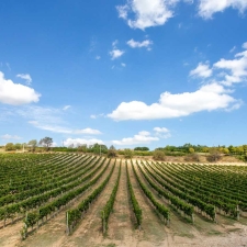 associazione-bb-del-fermano-villa-manu-3