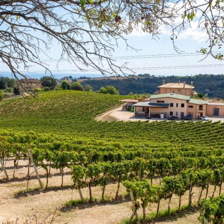 associazione-bb-del-fermano-villa-manu-4